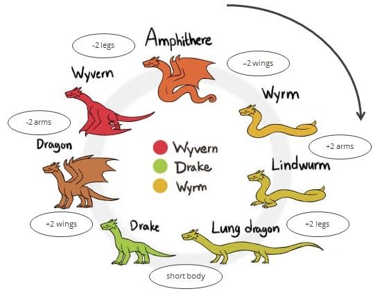 cycle of different dragon types